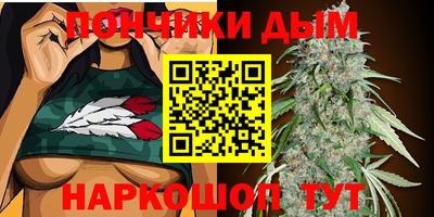 прущие крисы Камышлов