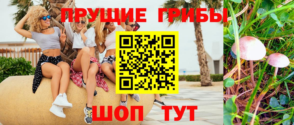 Галлюциногенные грибы MAGIC MUSHROOMS  Вход с VPN  Котлас 
