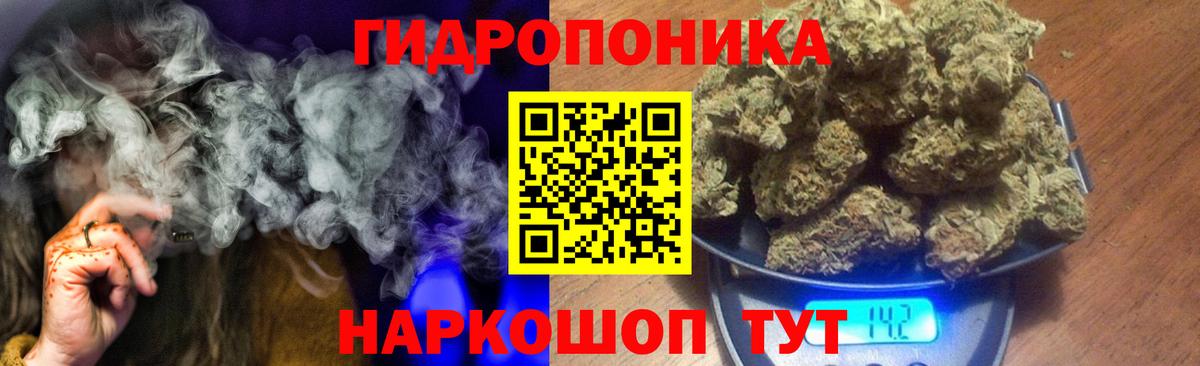Котлас  Бошки марихуана планчик  МАРИХУАНА White Widow  Вход с VPN 